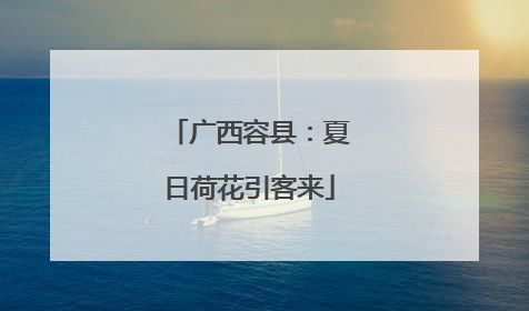 广西容县：夏日荷花引客来