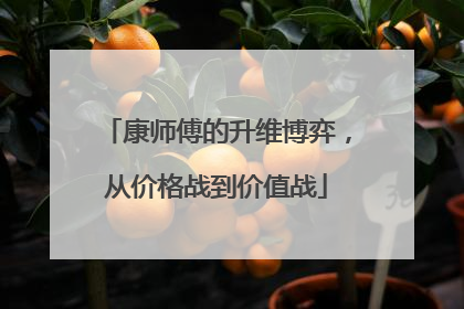 康师傅的升维博弈，从价格战到价值战