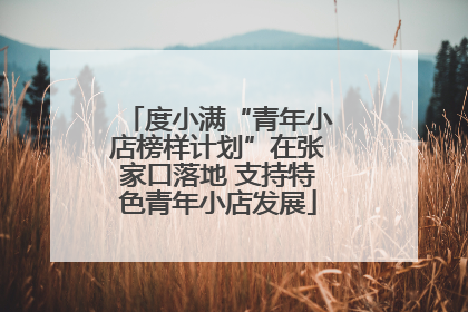 度小满“青年小店榜样计划”在张家口落地 支持特色青年小店发展
