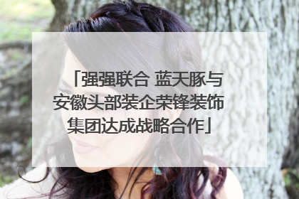 强强联合 蓝天豚与安徽头部装企荣锋装饰集团达成战略合作