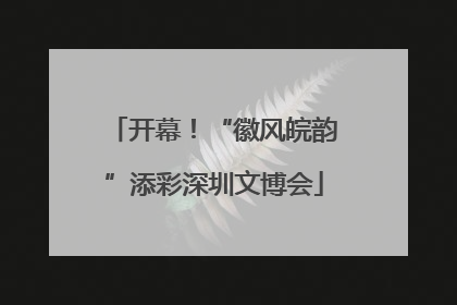 开幕！“徽风皖韵”添彩深圳文博会