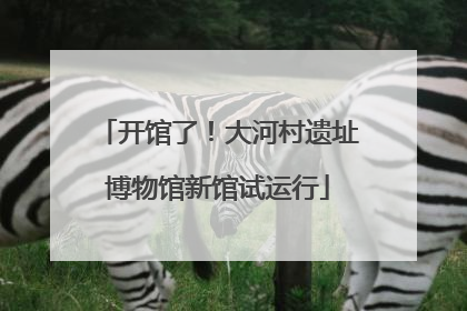 开馆了！大河村遗址博物馆新馆试运行