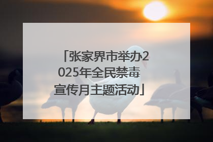 张家界市举办2025年全民禁毒宣传月主题活动