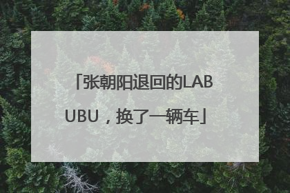 张朝阳退回的LABUBU，换了一辆车