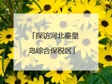 探访河北秦皇岛综合保税区