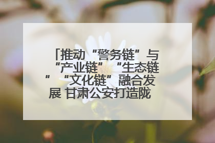 推动“警务链”与“产业链”“生态链”“文化链”融合发展 甘肃公安打造陇原旅游警务品牌