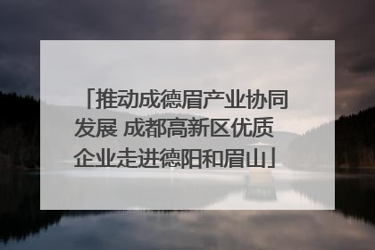 推动成德眉产业协同发展 成都高新区优质企业走进德阳和眉山