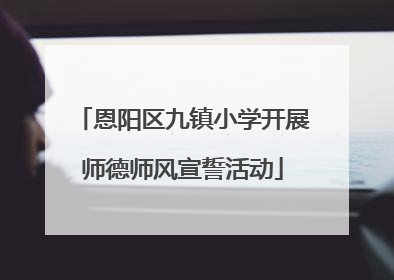 恩阳区九镇小学开展师德师风宣誓活动