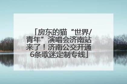 房东的猫“世界/青年”演唱会济南站来了！济南公交开通6条歌迷定制专线