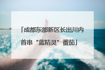成都东部新区长出川内首串“蓝精灵”番茄