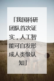 我国科研团队首次证实，人工智能可自发形成人类级认知