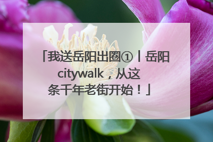 我送岳阳出圈①丨岳阳citywalk，从这条千年老街开始！