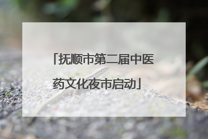 抚顺市第二届中医药文化夜市启动