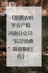 抢抓农时 平安产险河南分公司“抗旱抢收”保夏粮归仓