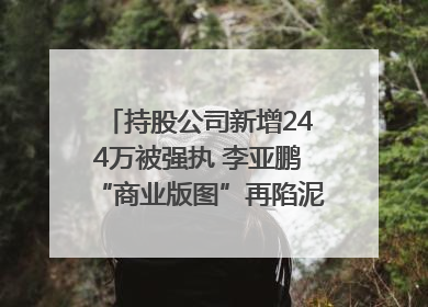 持股公司新增244万被强执 李亚鹏“商业版图”再陷泥潭？｜科技观察