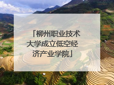 柳州职业技术大学成立低空经济产业学院