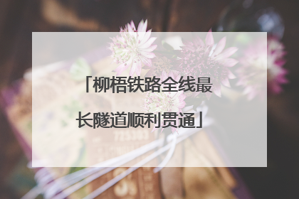 柳梧铁路全线最长隧道顺利贯通