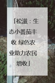 松滋：生态小番茄丰收 绿色农业助力农民增收