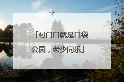 村门口就是口袋公园，老少同乐