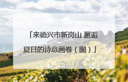 来德兴市新岗山 邂逅夏日的诗意画卷（图）