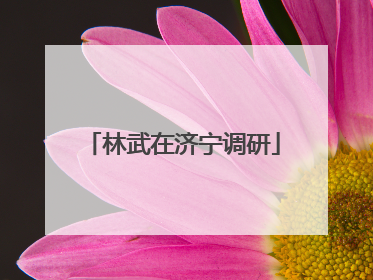 林武在济宁调研