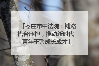 枣庄市中法院：铺路搭台压担，推动新时代青年干警成长成才
