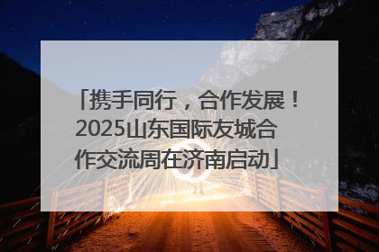 携手同行，合作发展！2025山东国际友城合作交流周在济南启动