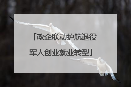 政企联动护航退役军人创业就业转型