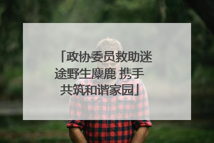 政协委员救助迷途野生麋鹿 携手共筑和谐家园