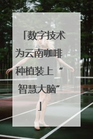 数字技术为云南咖啡种植装上“智慧大脑”