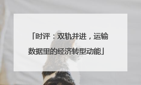 时评：双轨并进，运输数据里的经济转型动能