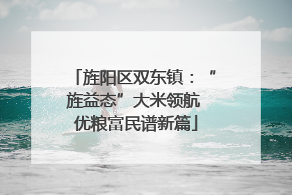 旌阳区双东镇：“旌益态”大米领航 优粮富民谱新篇