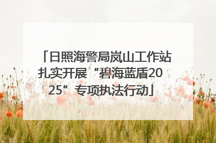 日照海警局岚山工作站扎实开展“碧海蓝盾2025”专项执法行动