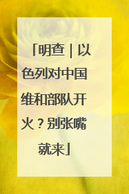 明查｜以色列对中国维和部队开火？别张嘴就来