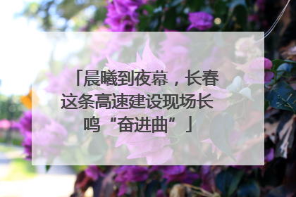 晨曦到夜幕，长春这条高速建设现场长鸣“奋进曲”