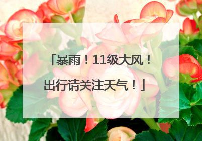 暴雨！11级大风！出行请关注天气！