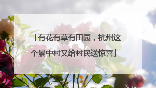 有花有草有田园，杭州这个景中村又给村民送惊喜