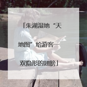 朱湖湿地“天地图”给游客一双隐形的翅膀