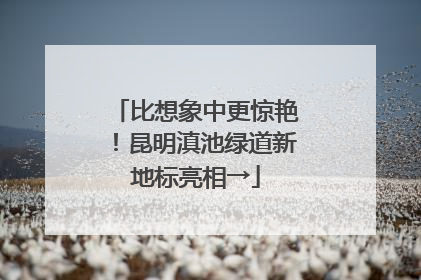 比想象中更惊艳！昆明滇池绿道新地标亮相→