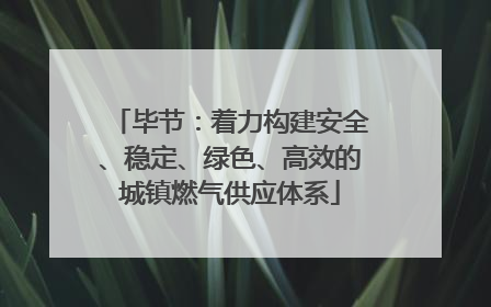 毕节：着力构建安全、稳定、绿色、高效的城镇燃气供应体系
