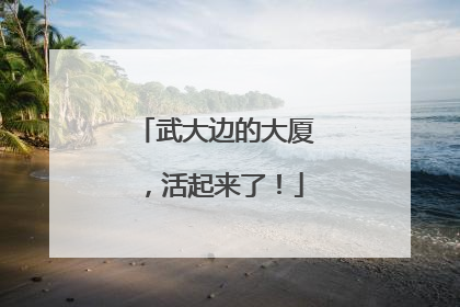 武大边的大厦，活起来了！