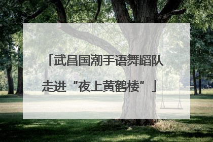 武昌国潮手语舞蹈队走进“夜上黄鹤楼”