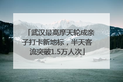 武汉最高摩天轮成亲子打卡新地标，半天客流突破1.5万人次