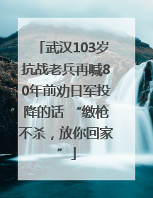 武汉103岁抗战老兵再喊80年前劝日军投降的话 “缴枪不杀，放你回家”