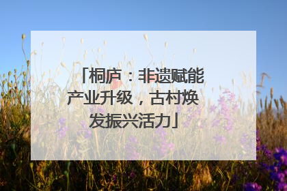 桐庐：非遗赋能产业升级，古村焕发振兴活力