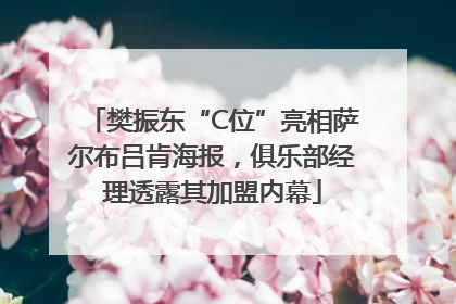 樊振东“C位”亮相萨尔布吕肯海报，俱乐部经理透露其加盟内幕