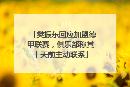 樊振东回应加盟德甲联赛，俱乐部称其十天前主动联系
