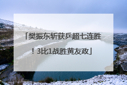 樊振东斩获乒超七连胜！3比1战胜黄友政