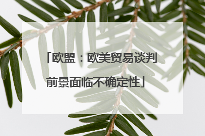 欧盟：欧美贸易谈判前景面临不确定性