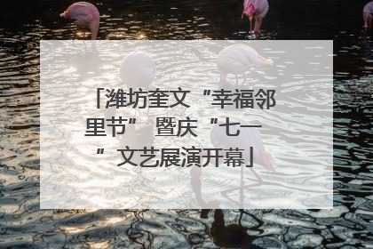 潍坊奎文“幸福邻里节” 暨庆“七一”文艺展演开幕